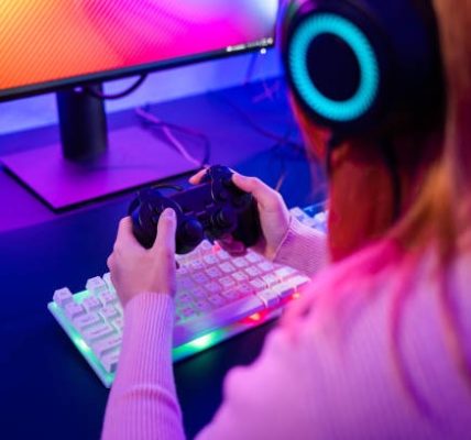 Offshore Gaming Websites with Secure Transactions