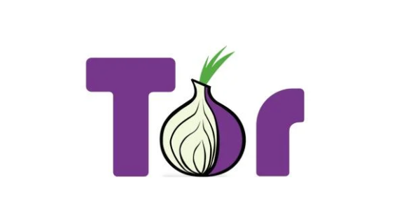 What Makes Tor Search Engines Essential for Anonymous Web Access